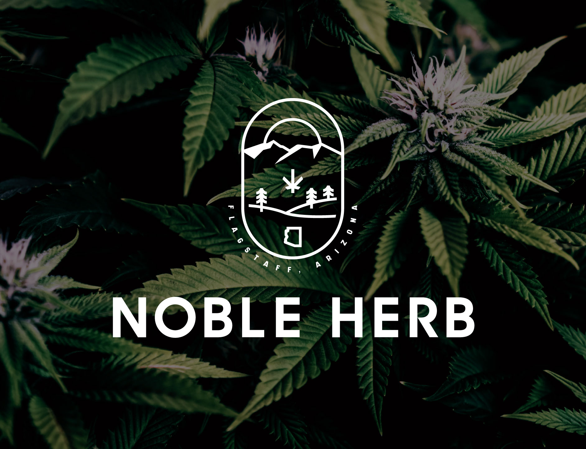 Cannabis Dispensary Logo