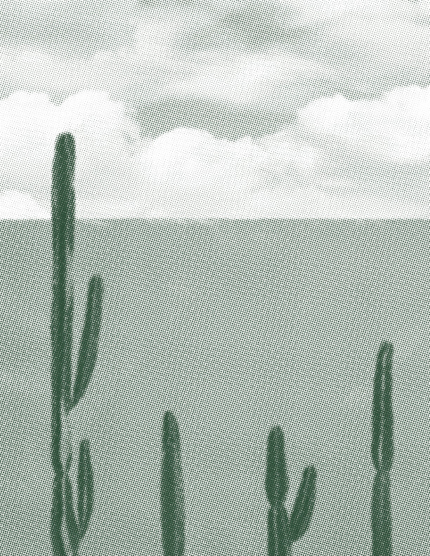 ALCA_Saguaro-Wall
