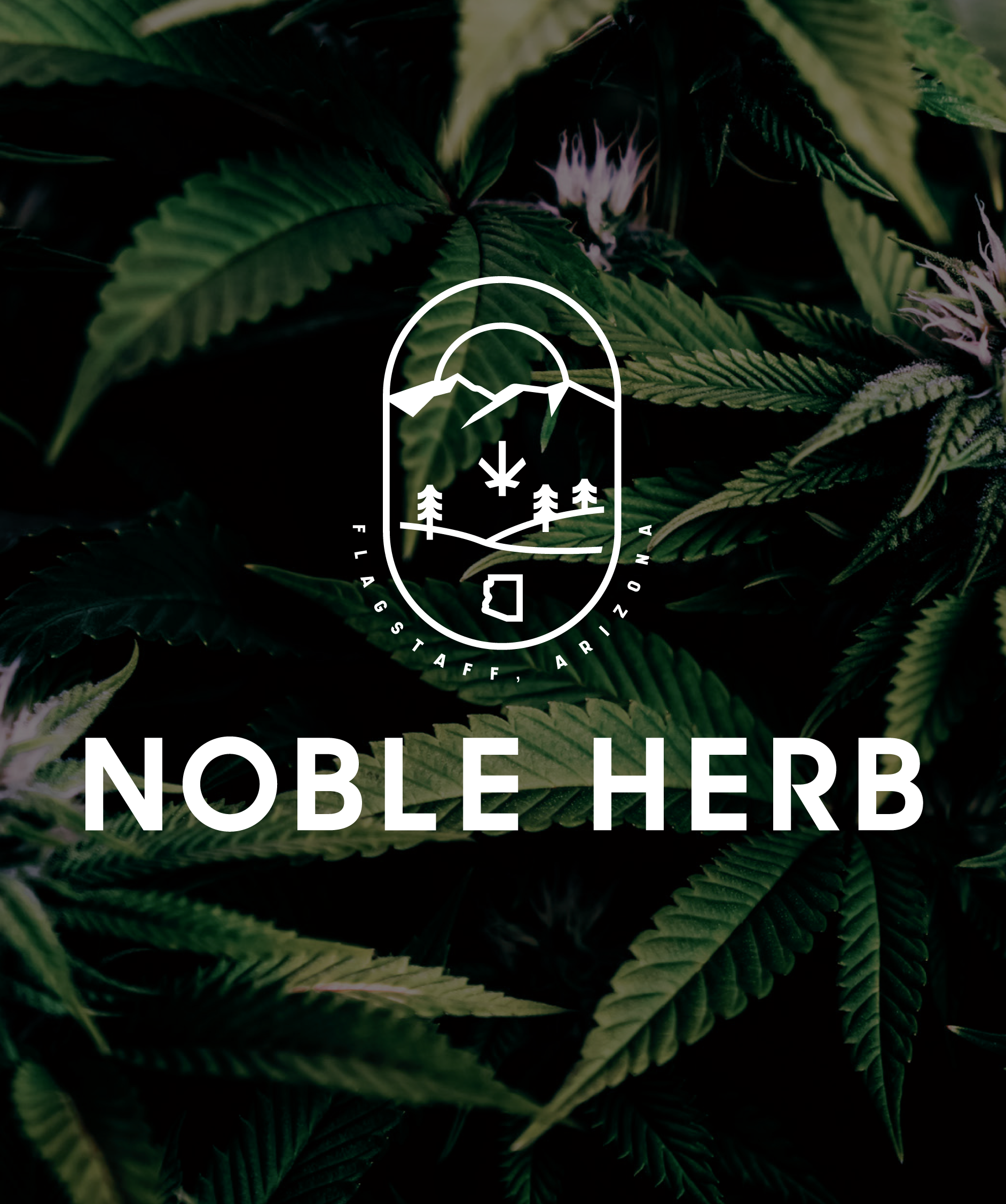 Noble Herb